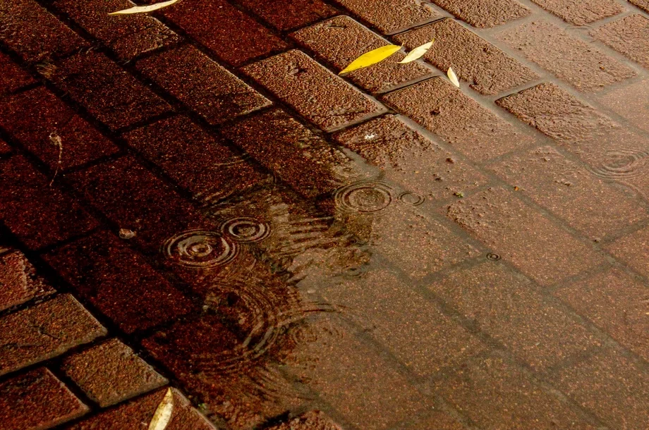 Nasse Pflastersteine mit Wasserperlen und Reflexen